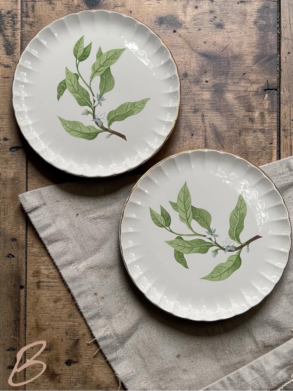 MidCentury W.S.George Bolero Green Valley Gray Flowers 10” Dinner Plates Set
